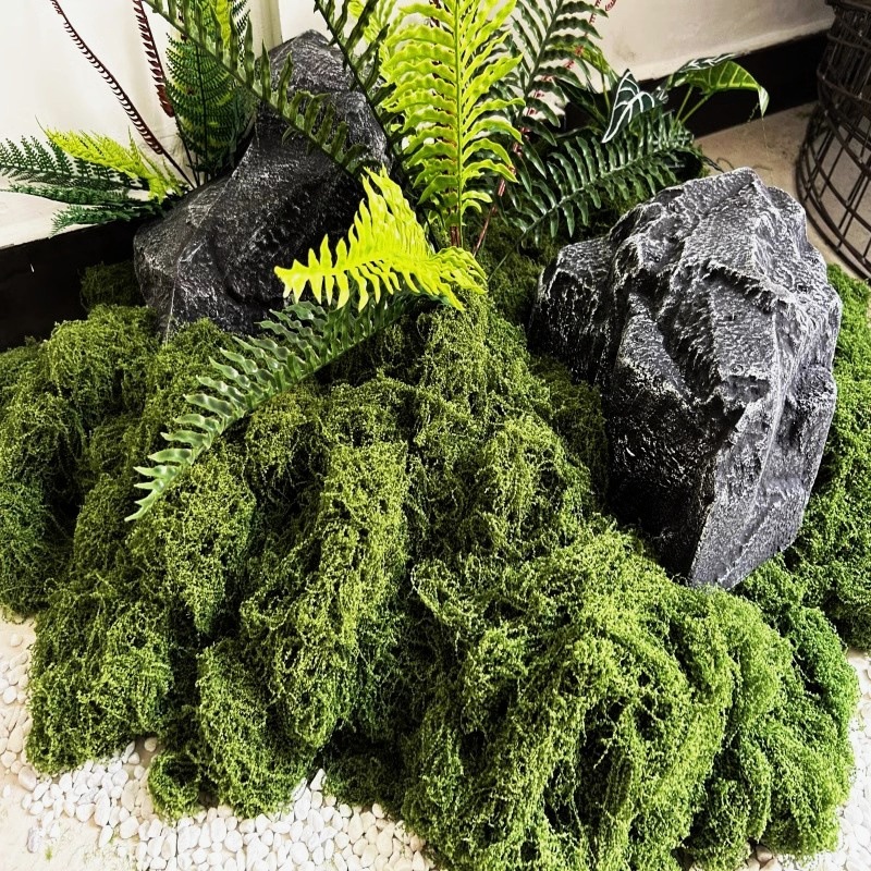 Karpet Rumput Buatan Aqumotic  - Wedding Tap ulasan dan harga